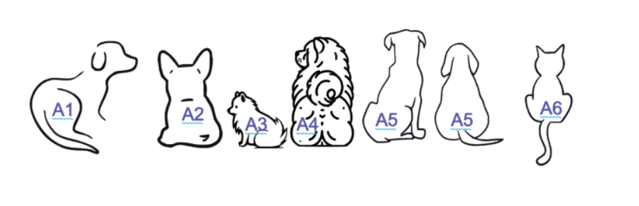 Cadre silhouettes de dos – Image 6